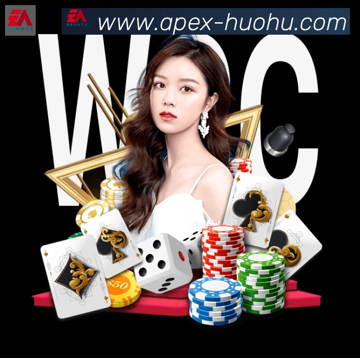 未来规划